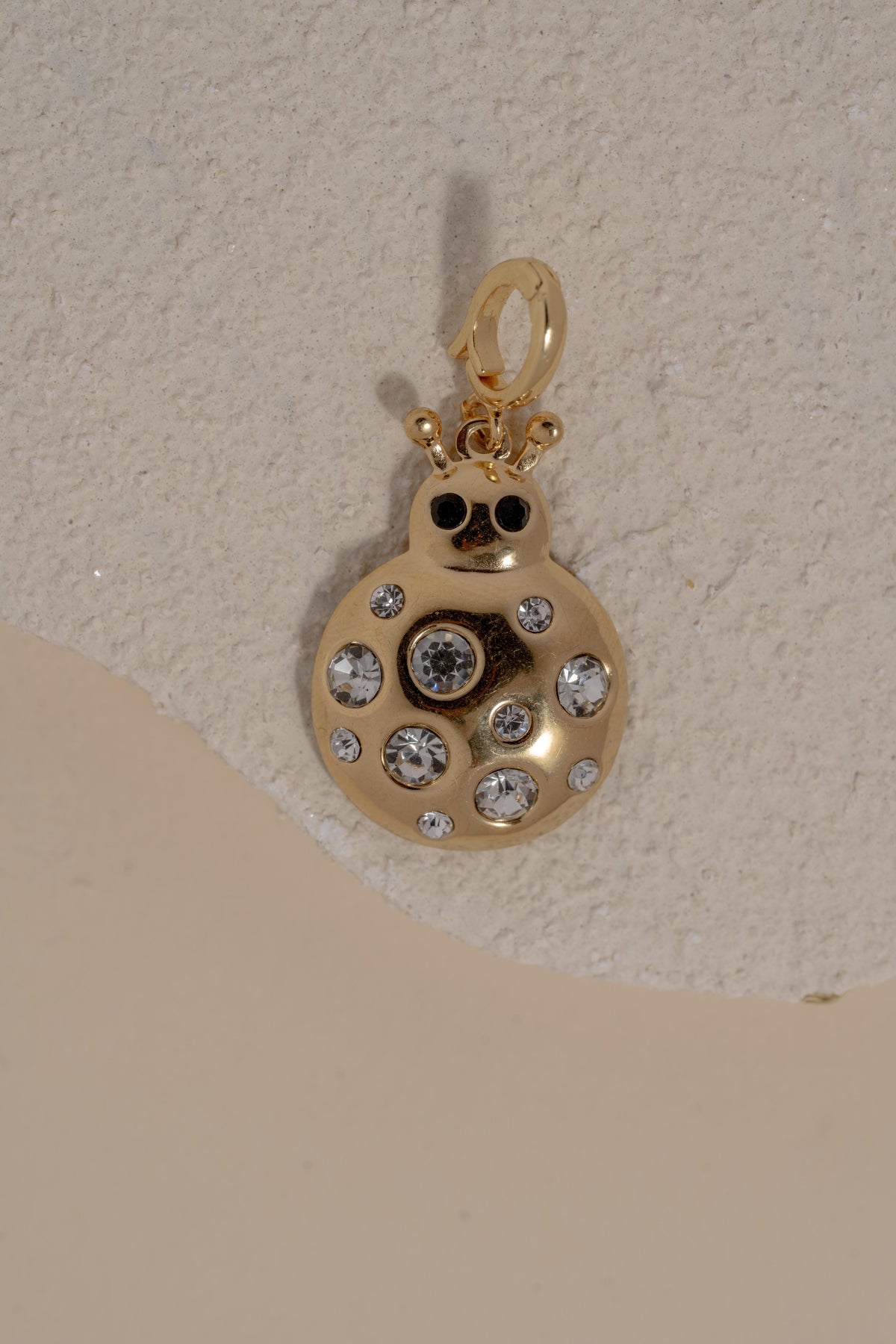 Ladybug Charm